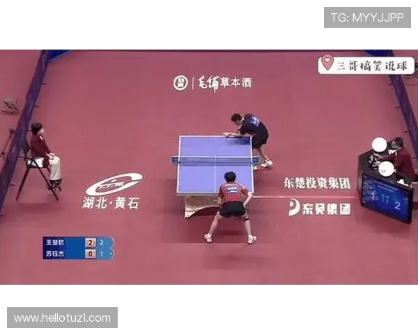 乒乓球盛宴：深入解析杭州乒乓球队的技术与训练秘诀